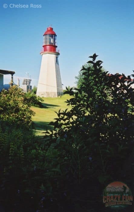 Pachena Point lighthouse up on a hill behind green bushes