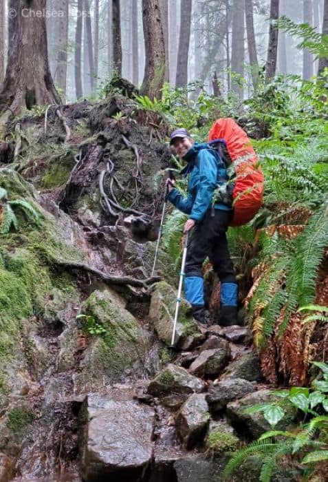 Lady on the West Coast Trail surrounded by massive leaves.