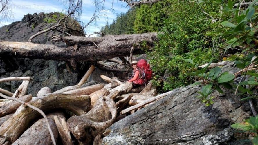 Lady on logs
