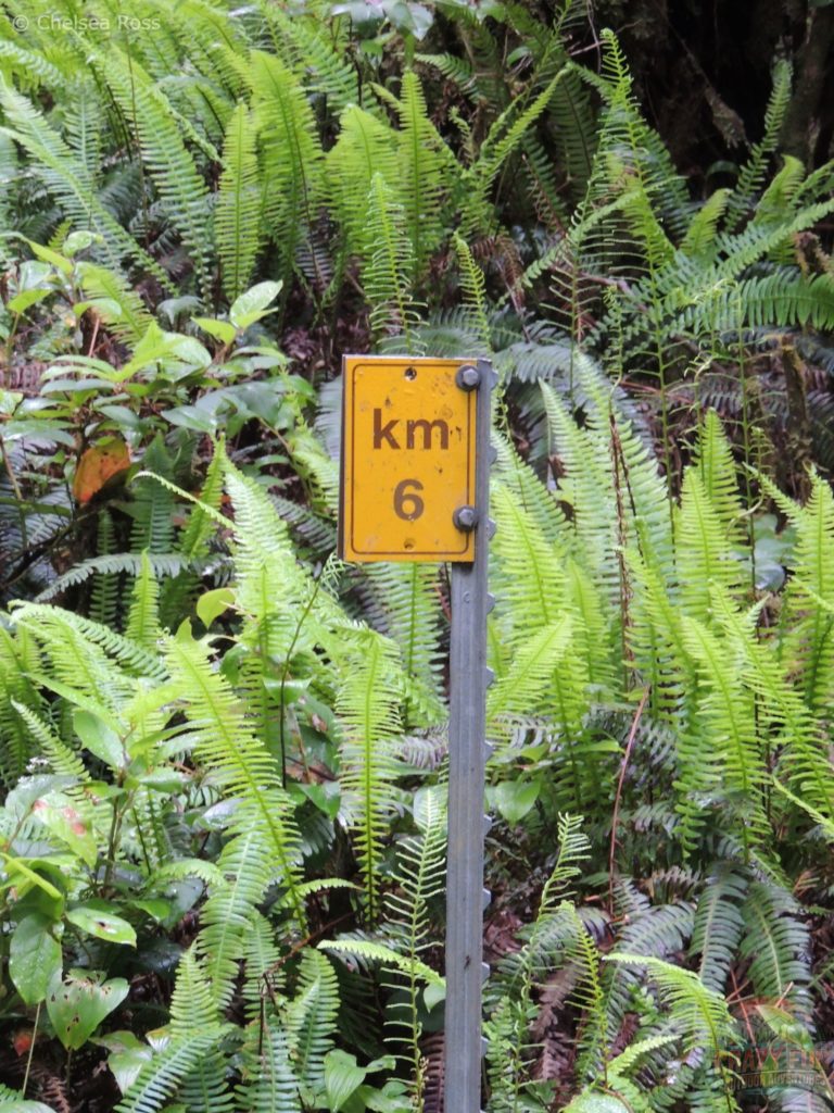 West Coast Trail tips: kilometer marker in yellow in front of green plants
