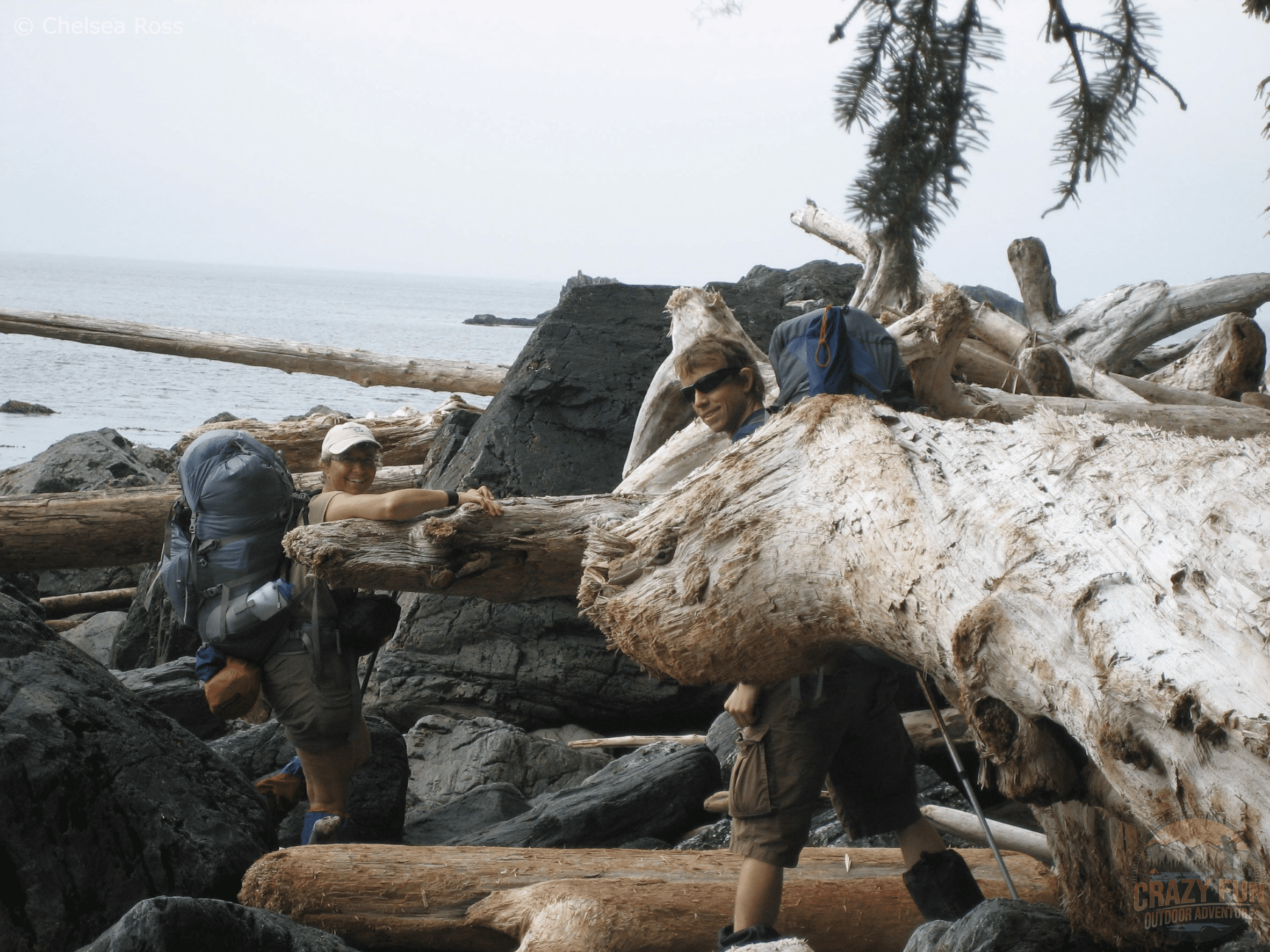 man and women in front of logs on beach