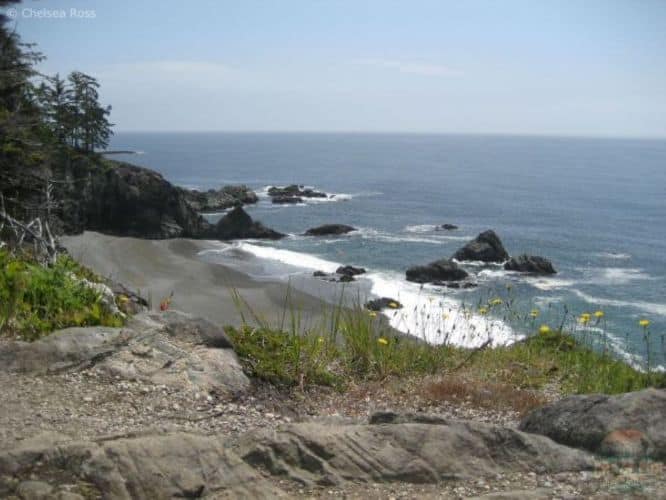 Overlooking the beach from the trail