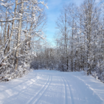 Love cross-country skiing for the beauty of snow covering the trees.