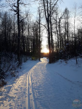 Flat tracks on the left and footsteps on the right in the snow.