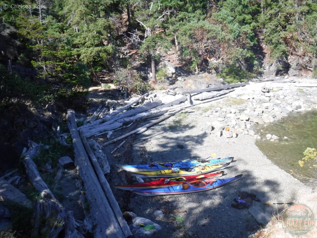 Three single kayaks beside a double kayak on the rocks down below with logs to the left and trees in the background.