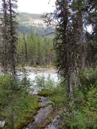 Walking along a peaceful river. You'll see mountains in the background with trees and moss in front of the river.