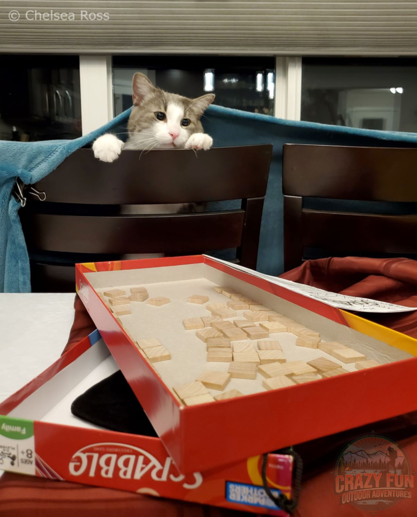 Scrabble box piled on top of each other on the table with the extra letter pieces in the top part of the box. Rocky, our grey and white cat is poking his head out from under a blanket, on the other side of a chair to see the fun he is missing. Date Ideas for Valentine's Day: Play Board Games. 