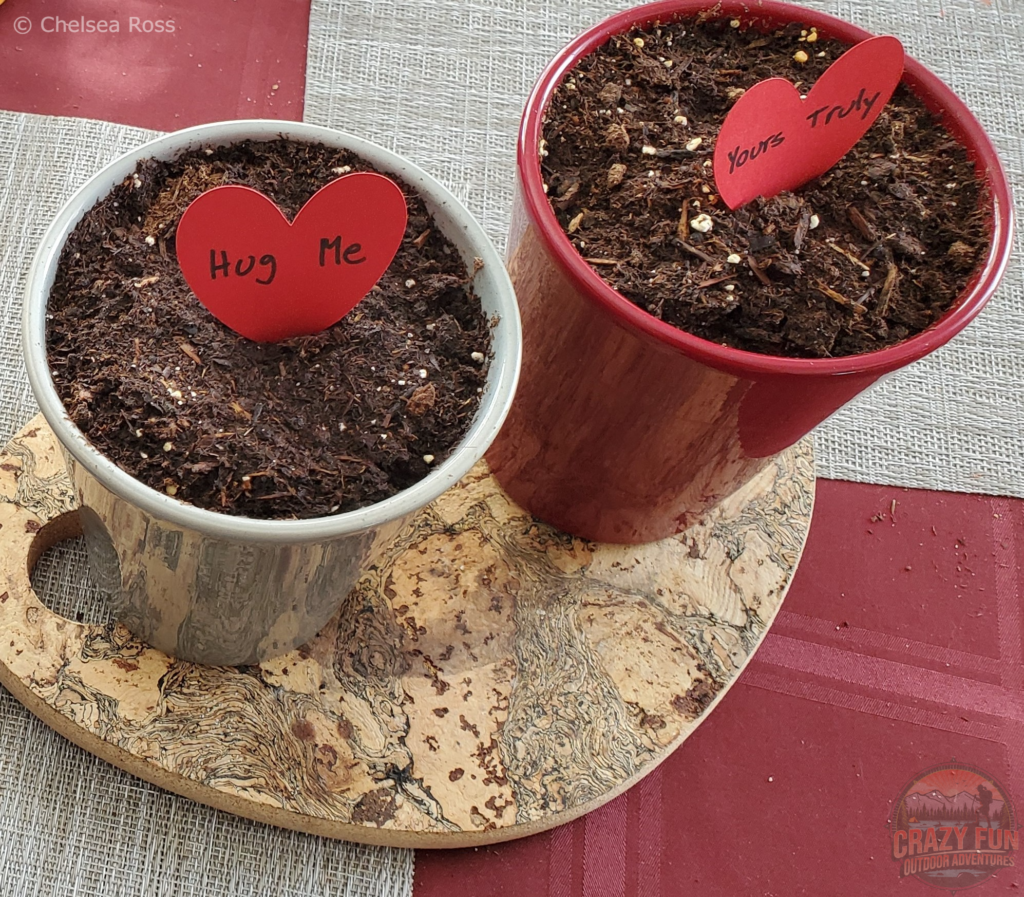 Red hearts that say Hug Me and Yours Truly planted in a grey and red pot with dirt in them. They were put all over the house for my boyfriend to find. Treasure hunts around the house creates fun date ideas for Valentine's Day. 