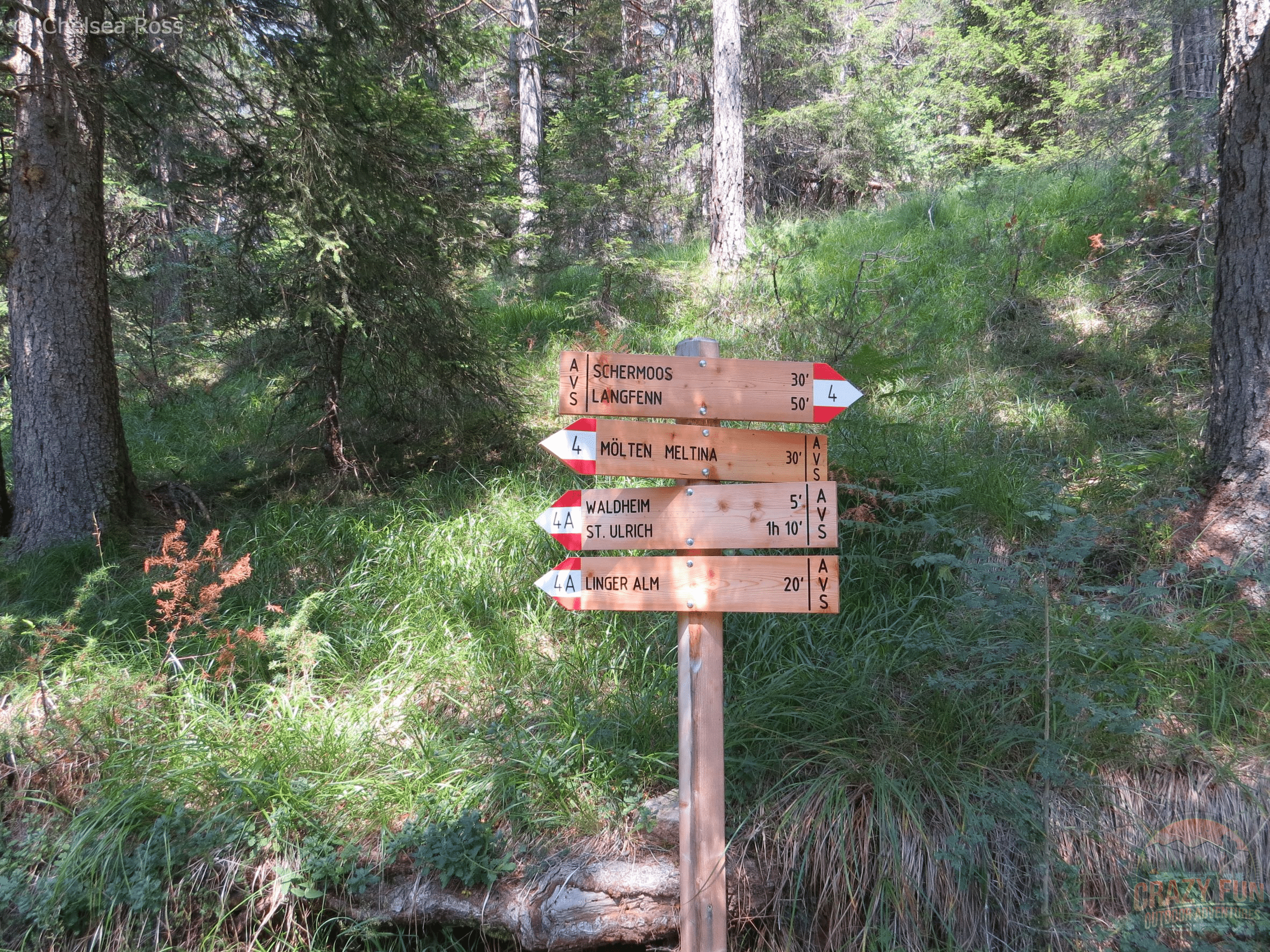 A wooden post indicating the direction for the hiking trails.