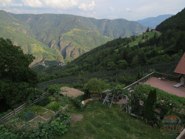 A picture showing their garden where they grow the food to feed the people in their restaurant.