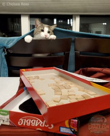 Scrabble box with extra letter pieces. A grey and white cat is poking his head out from under a blanket to see the fun he is missing. Date Ideas for Valentine's Day: Play Board Games. 