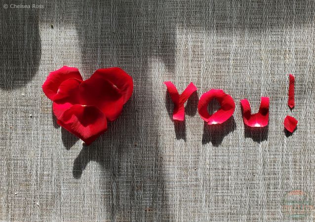 Date Ideas for Valentine's Day: Petals shaped into a heart with the word love you cut out of red petals on a grey placemat.