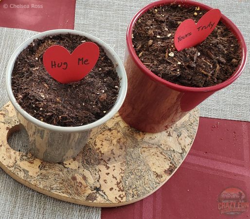 Red hearts that say Hug Me and Yours Truly planted in a grey and red pot with dirt in them. 