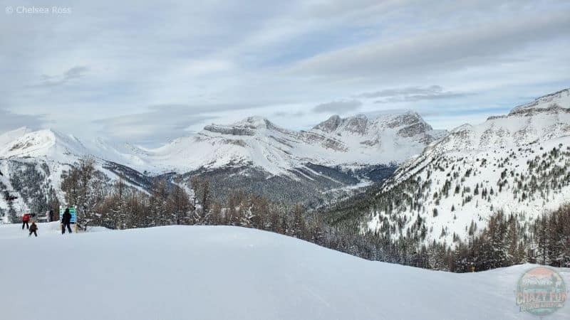 Gorgeous views as you get off the larch chair. Mountains and snow in the background leading to different runs. It was the best downhill ski day.