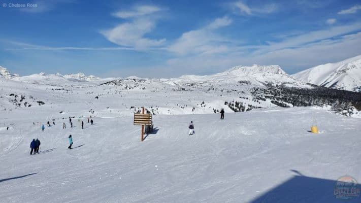 Downhill ski Sunshine or Lake Louise? Here is a view at the top of Sunshine showing different runs.