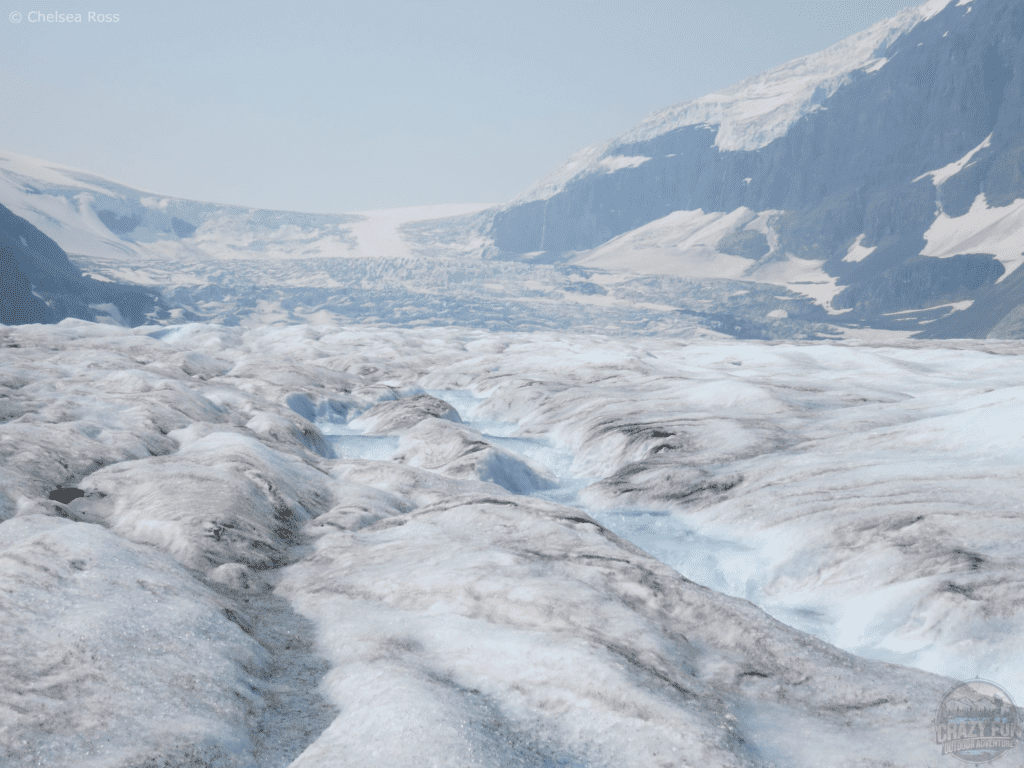 Athabasca Glacier Hike: a view of the glacier with large amounts of water flowing down in the form of rivers.
