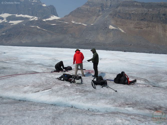 The group is holding the ropes as a man descends into Athabasca Glacier. 