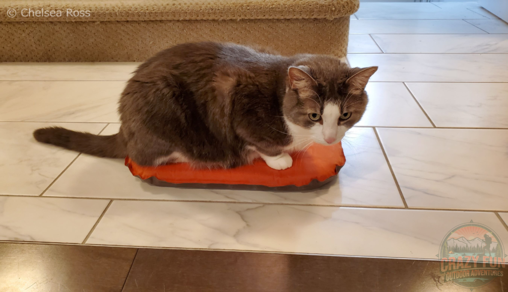Rocky, our grey and white cat is sitting on my orange MEC seat cushion while it's on white and grey tile. Brown carpeted stairs are in the background. 