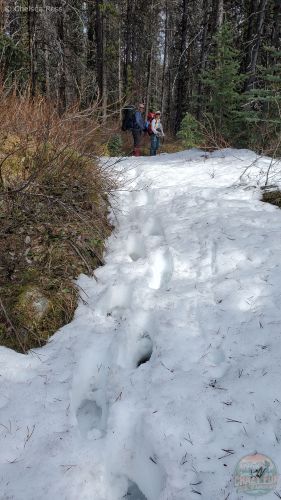 Knee deep snow backpacking Poboktan trail successfully.