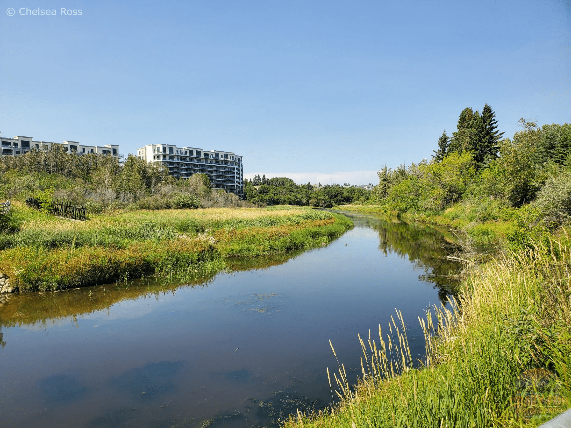 The river can be seen moving slowly through the neighbourhood with a building to the left and trees and grass to the right.