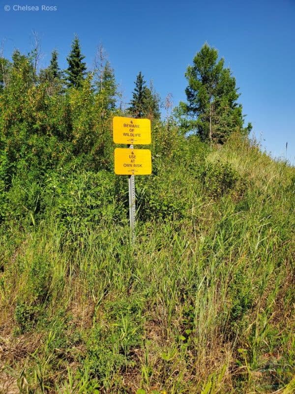 A yellow sign saying beware of wildlife in the area.