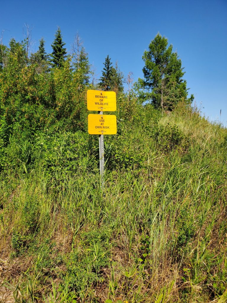 A yellow sign saying beware of wildlife in the area.