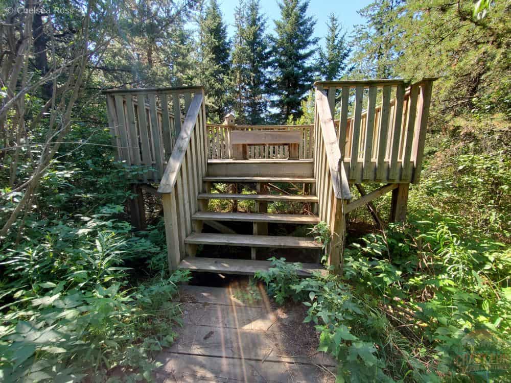 A platform without overgrown trees around it.