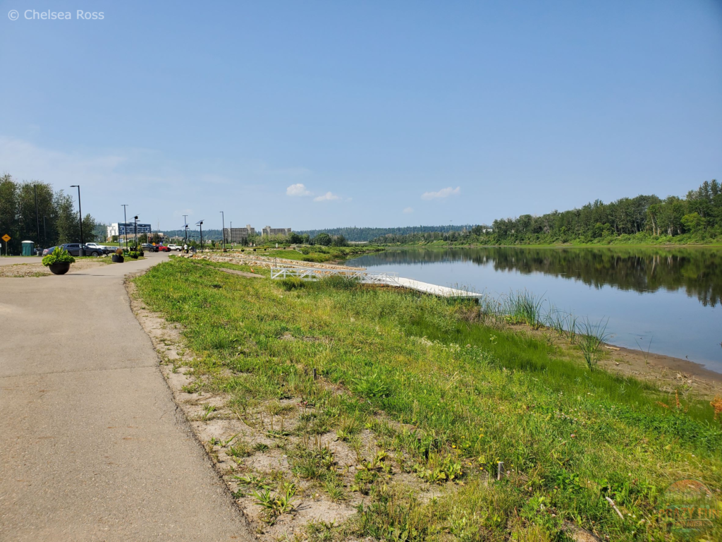 A paved path to the left with the river to the right with grass in the middle.
