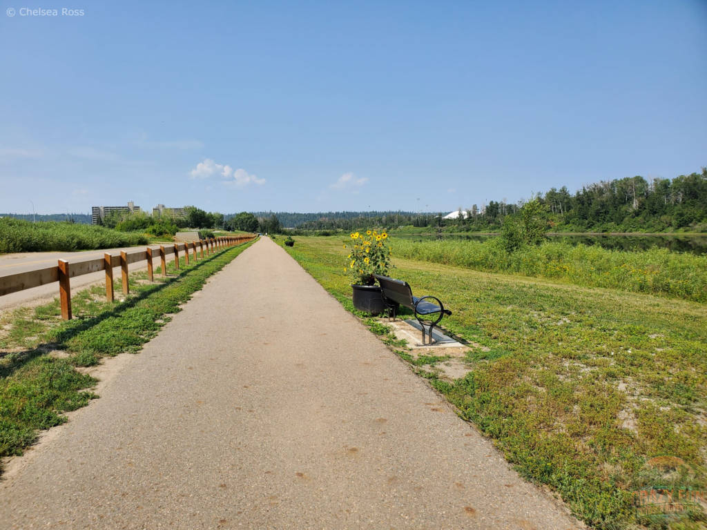 A paved path in the middle with grass to the right.