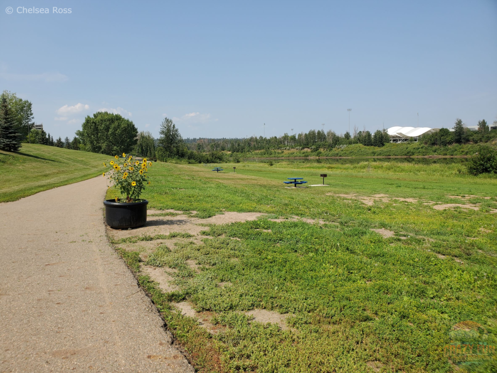 A paved path to the left with flowers and grass to the right.