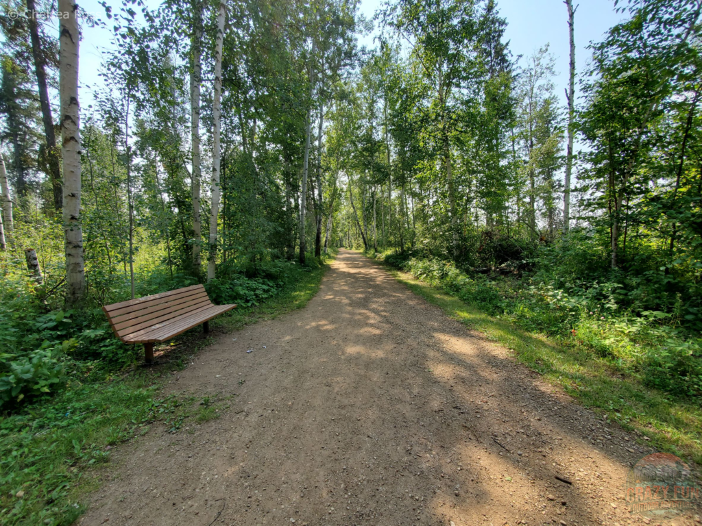 A wide gravel path with a bench to the left side and trees surrounding the trail.