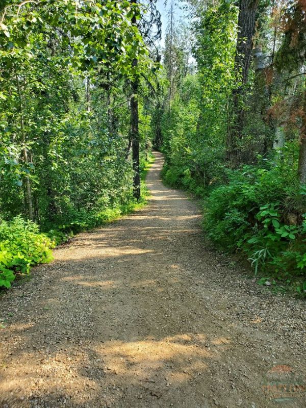 A gravel path that lead to a bridge with trees surrounding it.