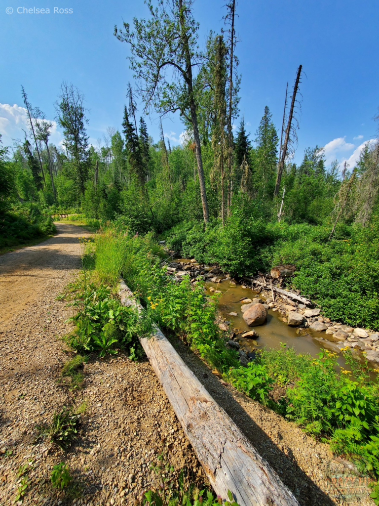 A gravel path to the left, a creek to the right with trees in front.