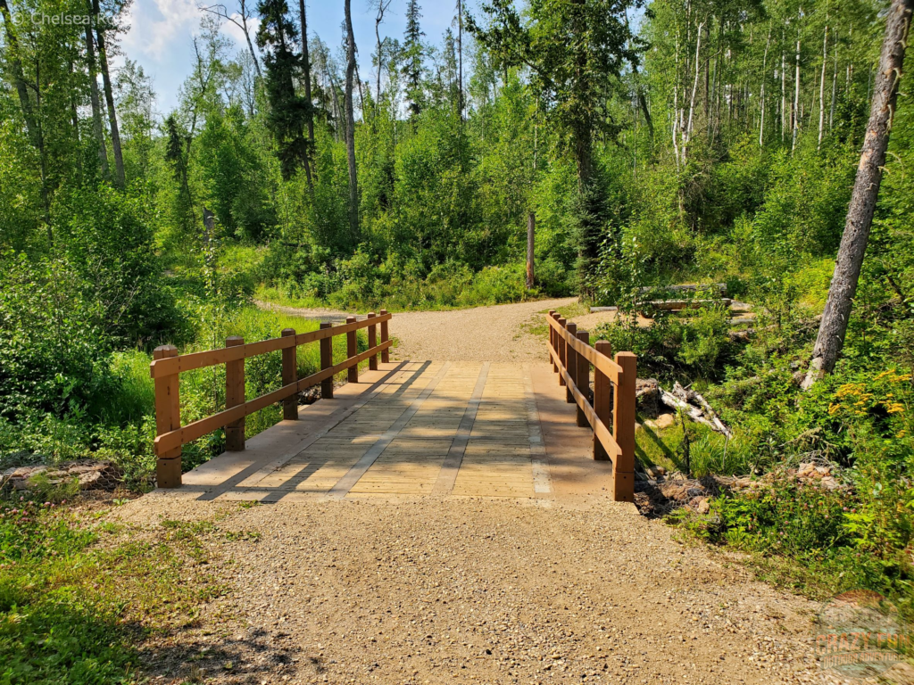 A gravel path that lead to a bridge with trees surrounding it.
