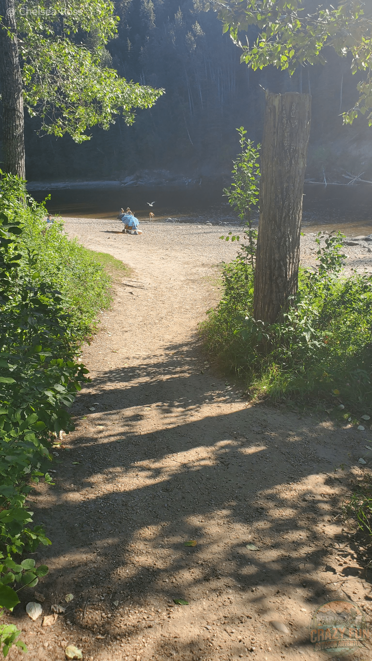 The path showing the direction to the river.