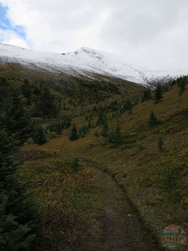 A picture of the narrow path forward to complete the loop for Opal hills. Snow can be seen up in the mountains.