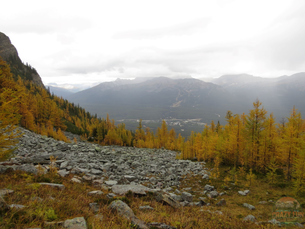 Showing golden larches in a valley.