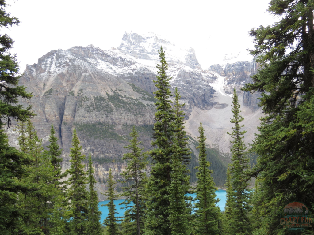 Moraine Lake can be seen through the trees.