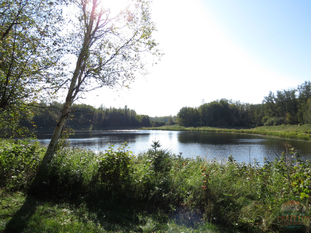 A lake surrounded by green trees and a blue sky.