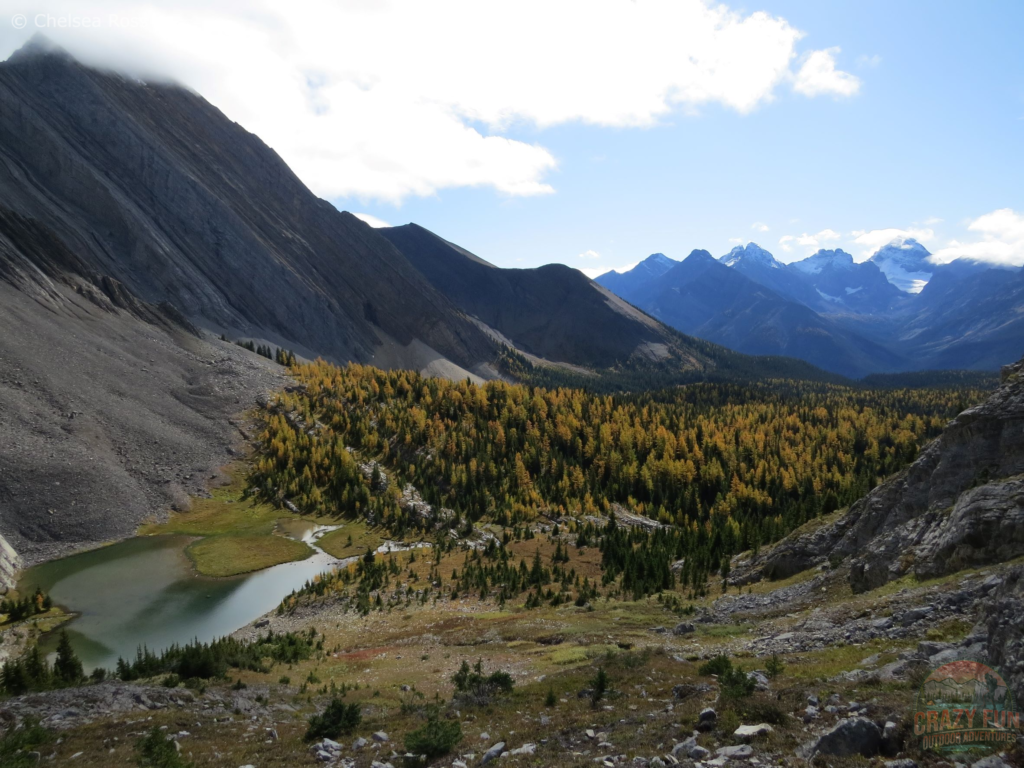 The best larch hikes showing the valley with golden larches.