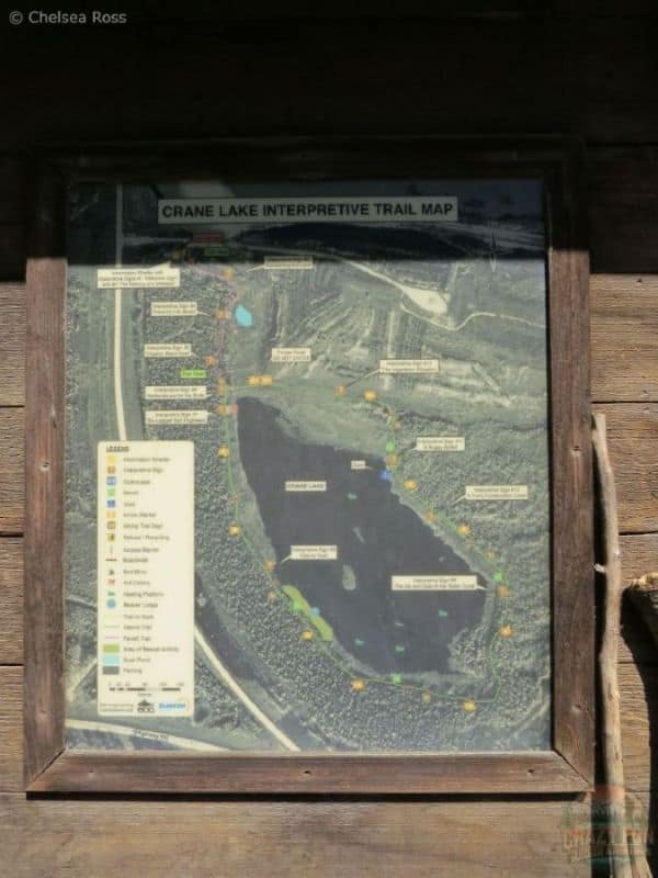 A picture showing the loop around Crane Lake to hike.