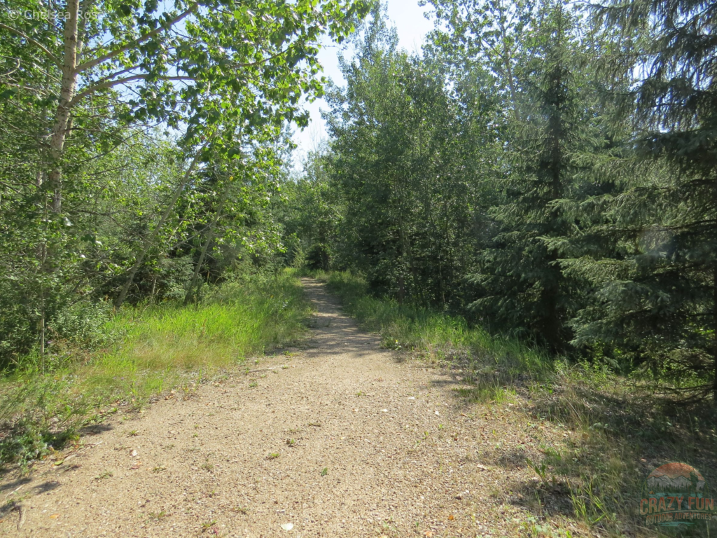 A narrow gravel trail that leads in the bush with trees on both sides.