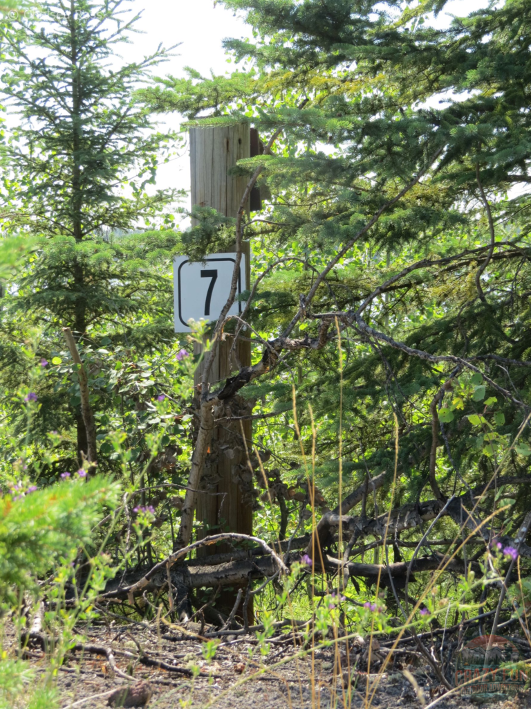 Bird shelters with numbers on them. This one says number 7.