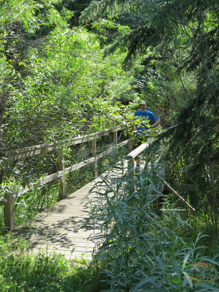 Kris on a bridge with overgrown trees and bushes on it.