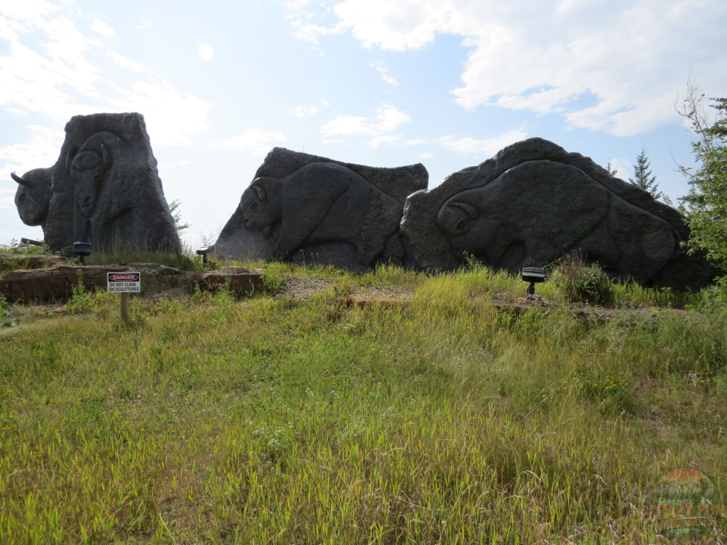 Hiking Trails near Fort McMurray: Wood Bison sculpture viewpoint.