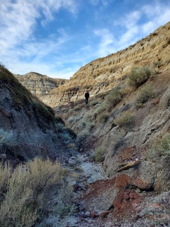 Man can be seen further up in Horse Thief Canyon.