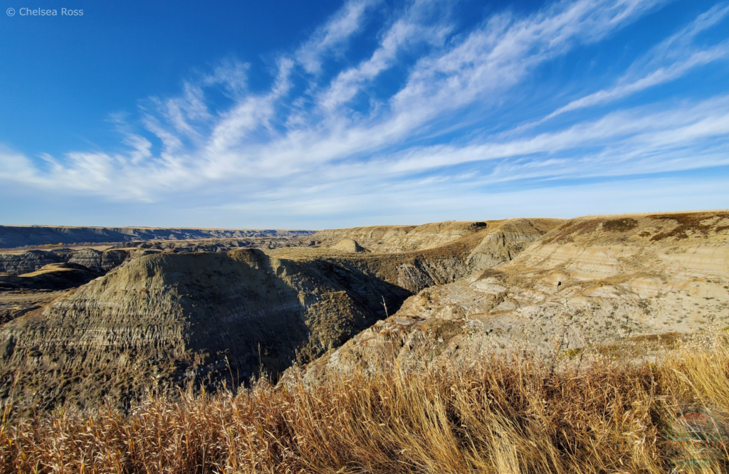 Gorgeous sunny day for one of the best Drumheller hikes. The picture overlooks Horse Thief Canyon.