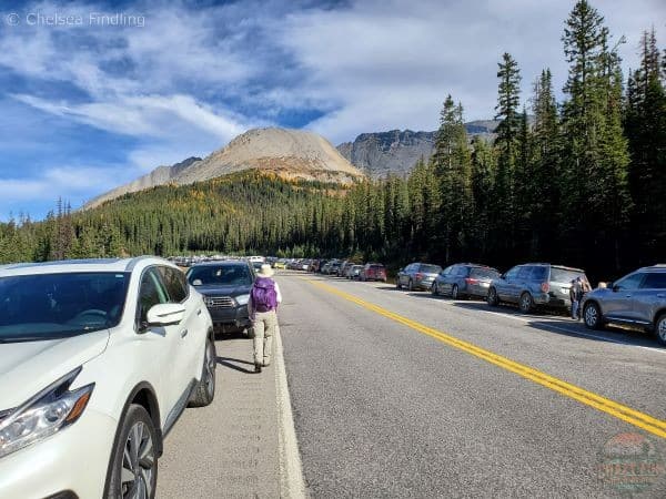 The best larch hikes start with parking on the road. Lady is walking past cars to reach trailhead. Little Arethusa Mountain can be seen in the background.