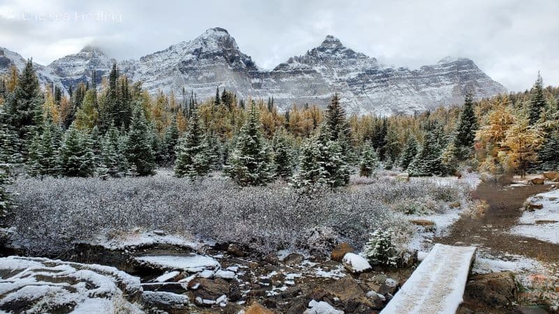 Initial viewpoint showcasing the mountains with a dusting of snow.