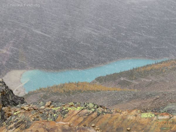 Looking down at Lake Louise from Fairview Lookout while it's snowing.